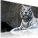 Arkiio White Tiger Tavla 120x80cm