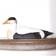 Wildlife Garden Eider Duck Prydnadsfigur 12.4cm