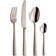 Amefa Felicity Pink champagne Cutlery Set 24pcs