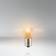 LEDVANCE Truckstar Pro Halogen Lamps 21W BAU15S 10-pack