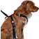 Artfex Dog Car Harness M