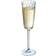 Cristal d’Arques Paris Macassar Champagne Glass 17cl 6pcs