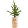 House Doctor Birch Julgran 44cm