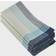 Saro Lifestyle Palmaria Cloth Napkin Blue (50.8x50.8cm)