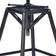 Armen Living Osbourne Bar Stool 30"