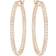 Swarovski Sommerset Hoop Earrings - Rose Gold/Transparent