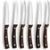 Sagaform BBQ Grill Grillkniv 22cm 6stk