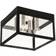 Livex Lighting Nyack Ceiling Flush Light 10.5"