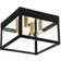 Livex Lighting Nyack Ceiling Flush Light 10.5"