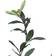 Vickerman Olive Tree 30"