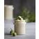 House Doctor Pottery S Krukke