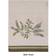 Avanti Greenwood Guest Towel Beige (71.12x27.94)