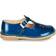 Dingo - Blue /Varnish