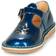 Dingo - Blue /Varnish