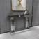 Ridge Road Décor Mirrored Console Table 14x48"