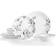 Corelle Misty Leaves Dinner Set 12