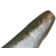 Z-Man Scented Jerk ShadZ 12.7cm Shiner 5-pack