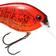 Strike King KVD Square Bill Crankbait 6.35cm Chili Craw