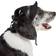 Petlife Sea Spot Sun' UV Protectant Adjustable Mesh Brimmed Dog Hat Cap Medium