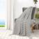 LR Home Striped Tasseled Blankets Black, Beige (152.4x127cm)