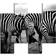 Homemania Zebra Tavla 76x50cm 4st