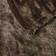 Beautyrest Heated Throw Blankets Brown (177.8x127cm)