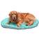 FurHaven Trail Pup Packable Stuff Sack Travel Pillow Small