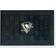 Fanmats Pittsburgh Penguins Medallion Door Mat