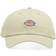 Dickies Hardwick Baseball Cap - Cement