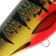 Strike Pro Buster Jerk Shallow Red 15cm