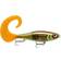 Rapala X-Rap Otus 25cm, GMTU