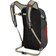 Osprey Daylite 13L - Acorn Red/Tunnel Vision Grey