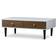 Baxton Studio Gemini Coffee Table 22x38"