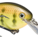 Strike King KVD Squarebill 1.5 12.4cm Chartreuse Perch