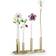 Swarovski Garden Tales Vas 16cm