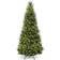 National Tree Company Natural Fraser Christmas Tree 120"