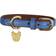 Shires Digby & Fox Padded Leather Dog Collar S