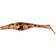 Zalt Shad 21cm Burbot