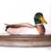 Wildlife Garden DecoBird Mallard Male Dekorationsfigur 12.1cm