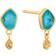 Stud Earrings - Gold/Turquoise