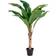 House Nordic Banana Palm Kunstig plante