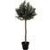 House Nordic Olive Artificial Plant