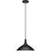 Hudson & Canal Barton Pendant Lamp 14"