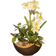 National Tree Company 9" Potted Narcissus Artificial Plant