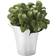 Georg Jensen Bloom Botanica Vas 14cm