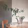Georg Jensen Bloom Botanica Vas 14cm