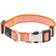 Petlife Escapade Outdoor Series 2-in-1 Convertible Dog Leash and Collar Large