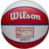 Wilson Detroit Pistons