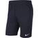 Nike Men's Dri-FIT Park 20 - Navy/White