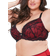 Oola Tonal Lace Padded Plunge Bra - Red/Black